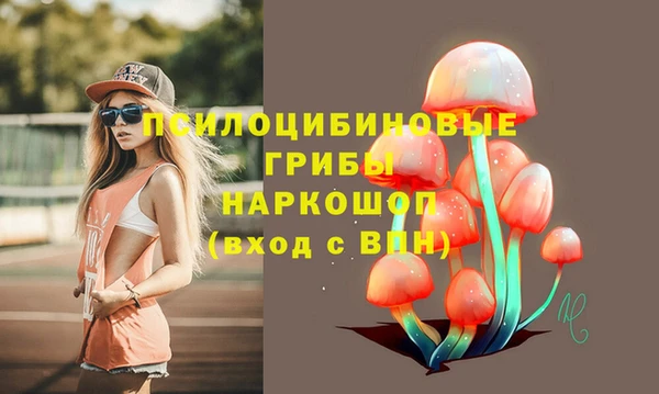 дурь Арсеньев