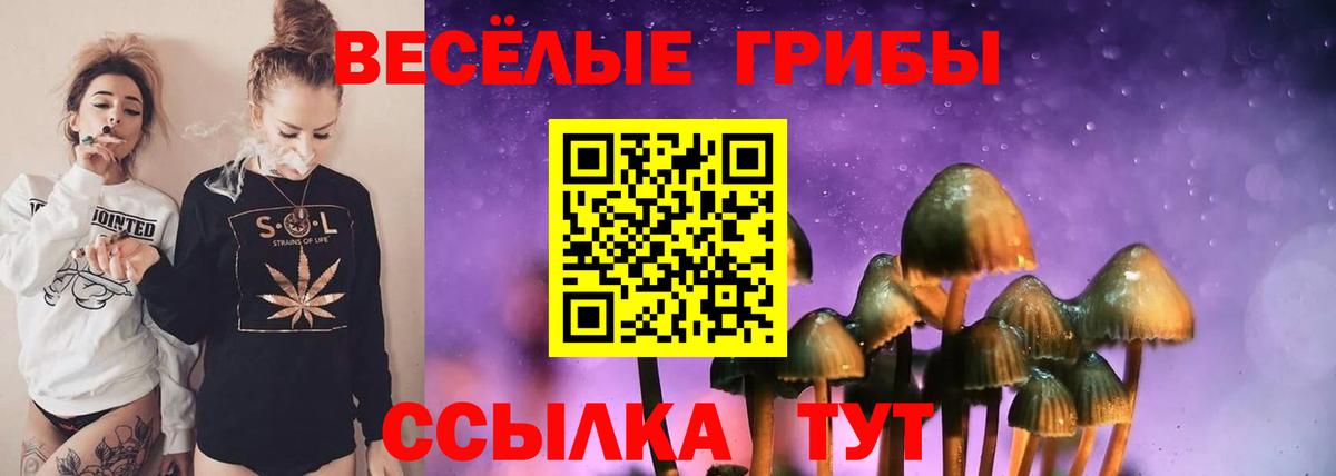 Псилоцибиновые грибы Magic Shrooms  Псилоцибиновые грибы мухоморы  Вход с VPN  Курганинск 